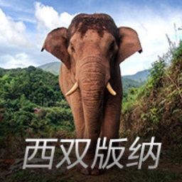 40岁女子嫁48岁男，不穿婚纱美出天际，网友：这气质新郎赚麻了